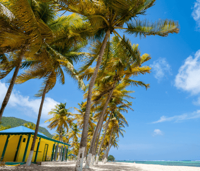 Plage à Fifi, La Désirade