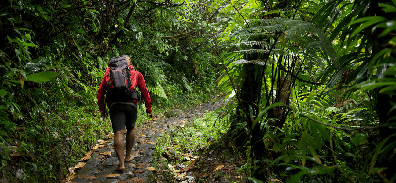 Eco-friendly travel in the Guadeloupe Archipelago