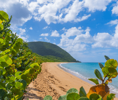 Plage de Grande-Anse, Deshaies