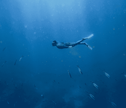 plongée malendure réserve cousteau